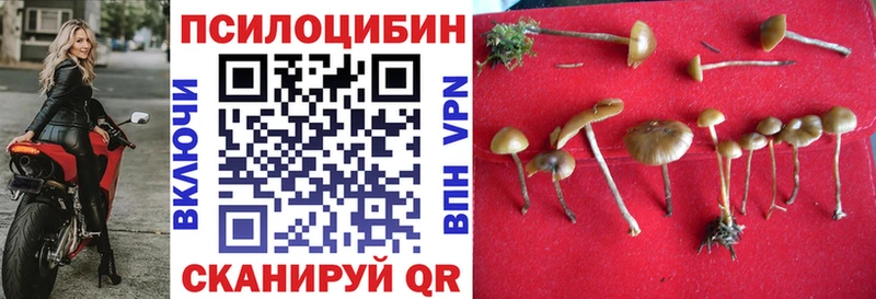 Галлюциногенные грибы ЛСД  Балтийск 
