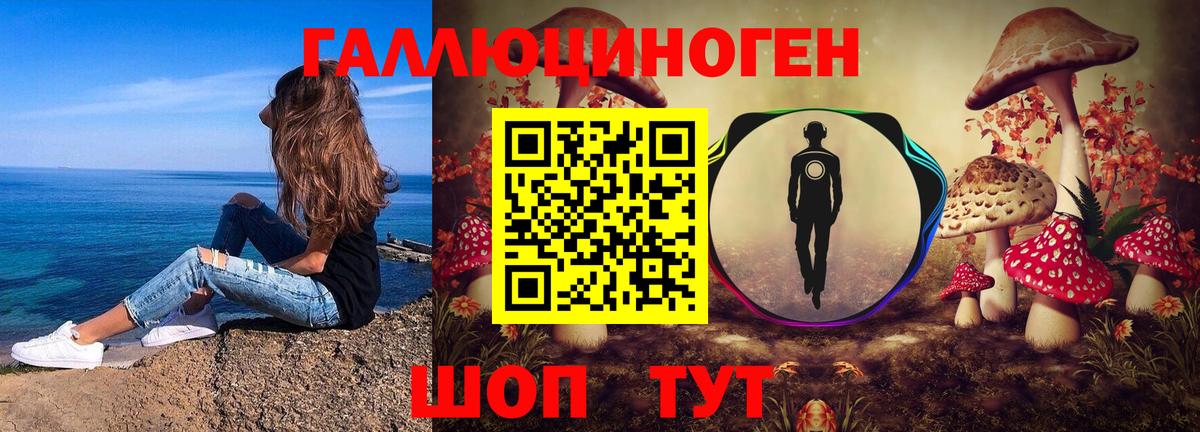 Псилоцибиновые грибы Psilocybine cubensis Балтийск