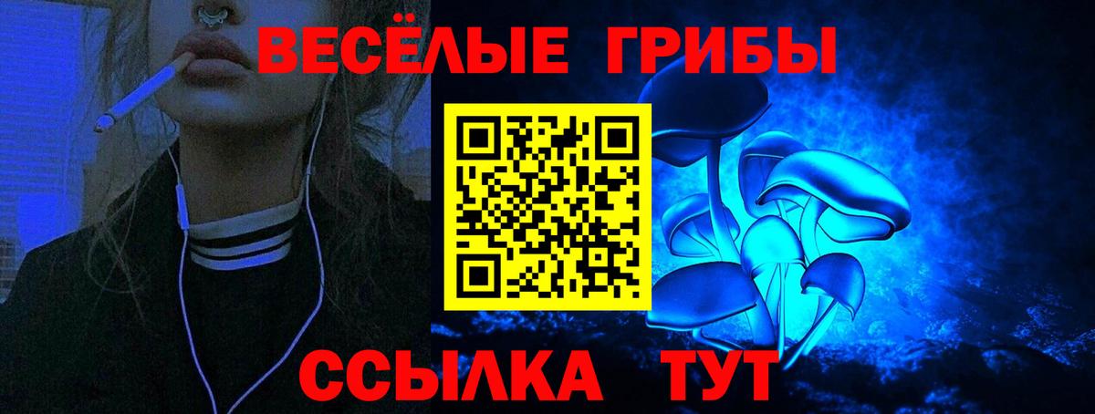 Галлюциногенные грибы Cubensis  Балтийск 